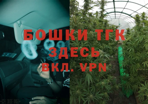 мдпв Богданович