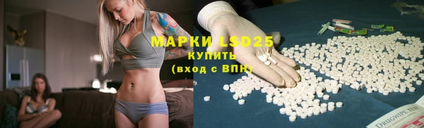 мдпв Богданович