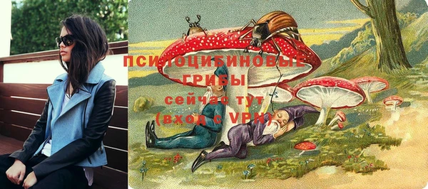 мдпв Богданович