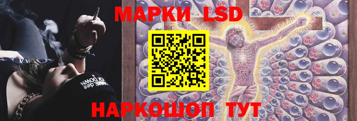 Губкин  Кислота  ЛЁД  Где купить наркотики?  Вейп ТГК  МДМА  Вход с VPN  Гарик  COCAIN  Меф  Alpha-PVP  ГАШ 