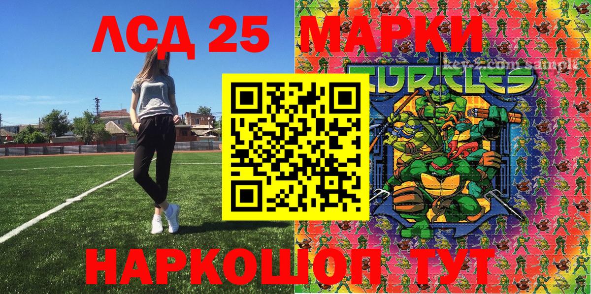 как найти закладки  Марки NBOMe 1500мкг  Губкин  Марки NBOMe 1500мкг 