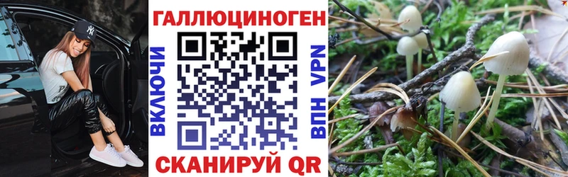 Псилоцибиновые грибы Psilocybe  купить наркоту  МЕГА ссылки  Губкин 