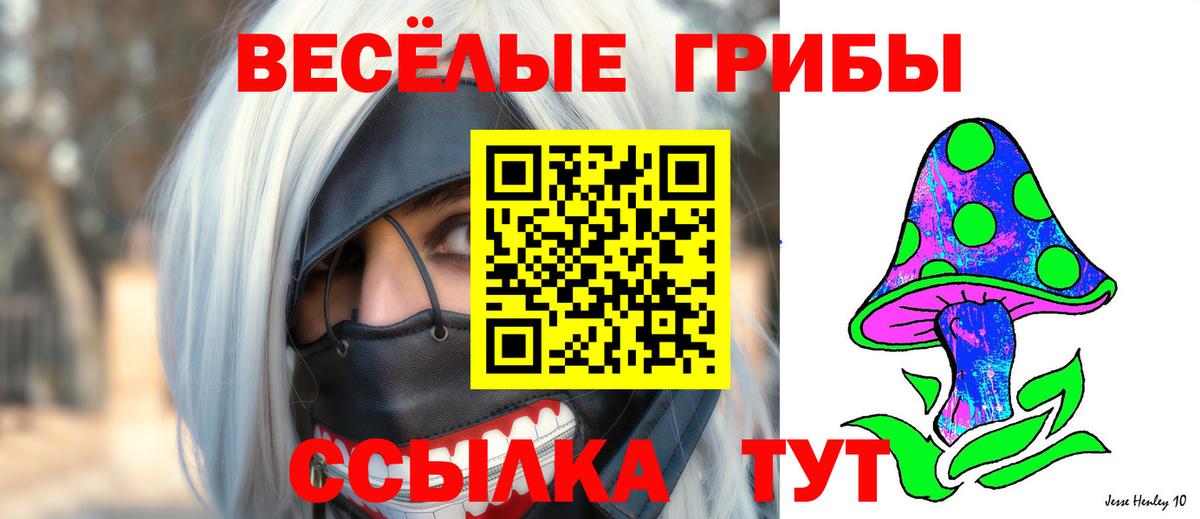 Псилоцибиновые грибы Psilocybine cubensis Губкин
